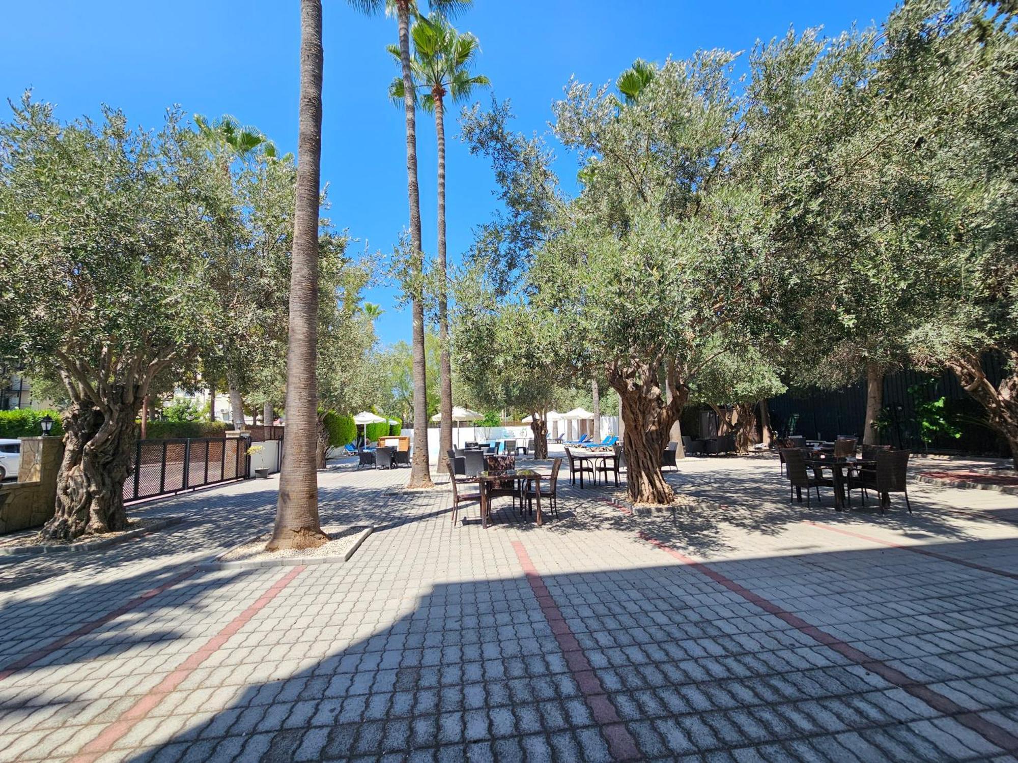Park Palace Hotel 凯里尼亚 外观 照片